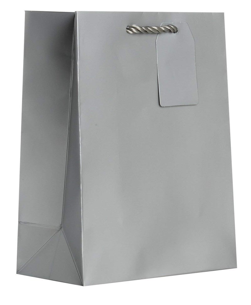 Jillson Roberts 6-Count Medium 8" x 10" x 4" All-Occasion Gift Bags Available in 20 Solid Colors, Silver Matte - Image 2